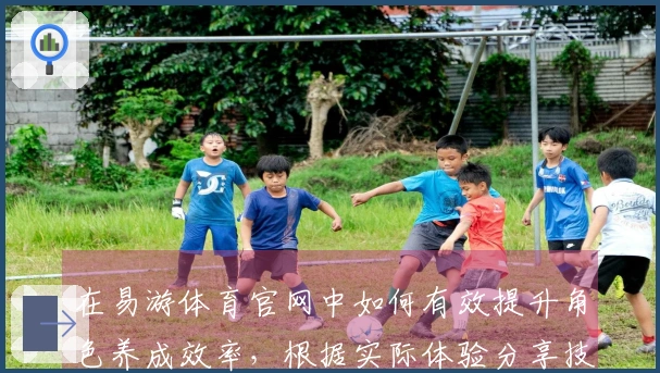 在易游体育官网中如何有效提升角色养成效率，根据实际体验分享技巧与策略