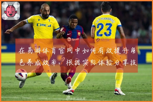 在易游体育官网中如何有效提升角色养成效率，根据实际体验分享技巧与策略