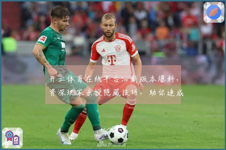 开云体育在线平台:新版本爆料,资深玩家亲授隐藏技巧,助你速成游戏大神